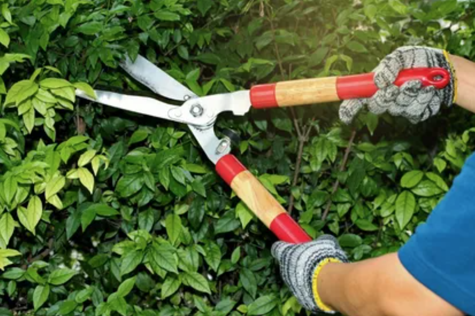 Impianti elettrici 2